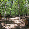 Lost Brook Trail Race 
