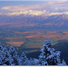 Montana 100 