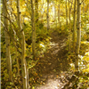 Sundance Trail Run
