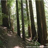trail