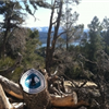 Big Bear Ridge Run