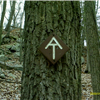 AT