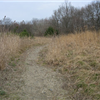 Ryan Park Trails