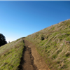 single track