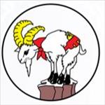 Billy Goat's 1/2 Marathon and Hill Climb - June 22, 2013