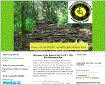 Event Website