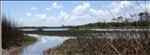 Croatan 24-Hour Ultramarathon - November 10, 2012