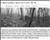 2008 Uwharrie Mountain Run 20 Miles - Results