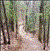 2011 Chippewa Moraine 50 Kilometers - Results