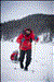 2012 Yukon Arctic 100 Miles - Results