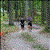 2003 Run for the Toad 50 Kilometers - Results