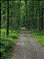 Double Trouble Trail Run