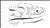 2013 Wambaw Swamp Stomp 50 Miler Trail Run 50 Miles - Results
