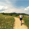 The Greenfield Trail Races