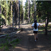 East Mountain Trail
