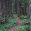 Baker Lake 50k