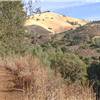 Grass Mountain Trail