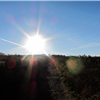 sunlight on trail