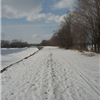 Beast of Burden - Winter 